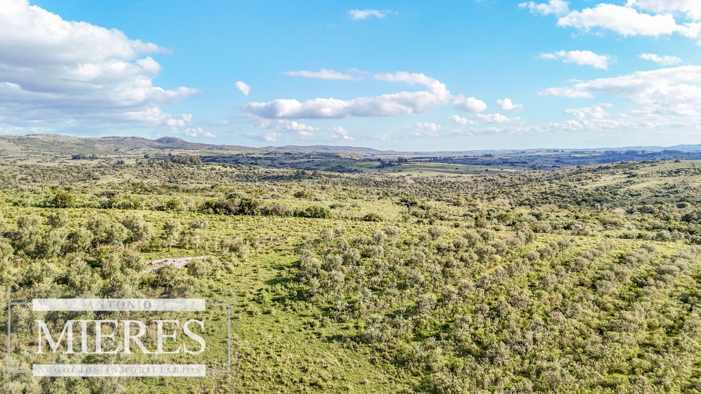 Campo EN VENTA