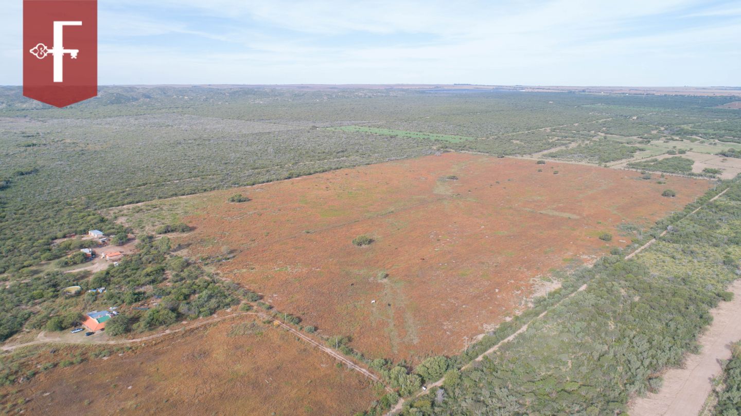 Campo EN VENTA