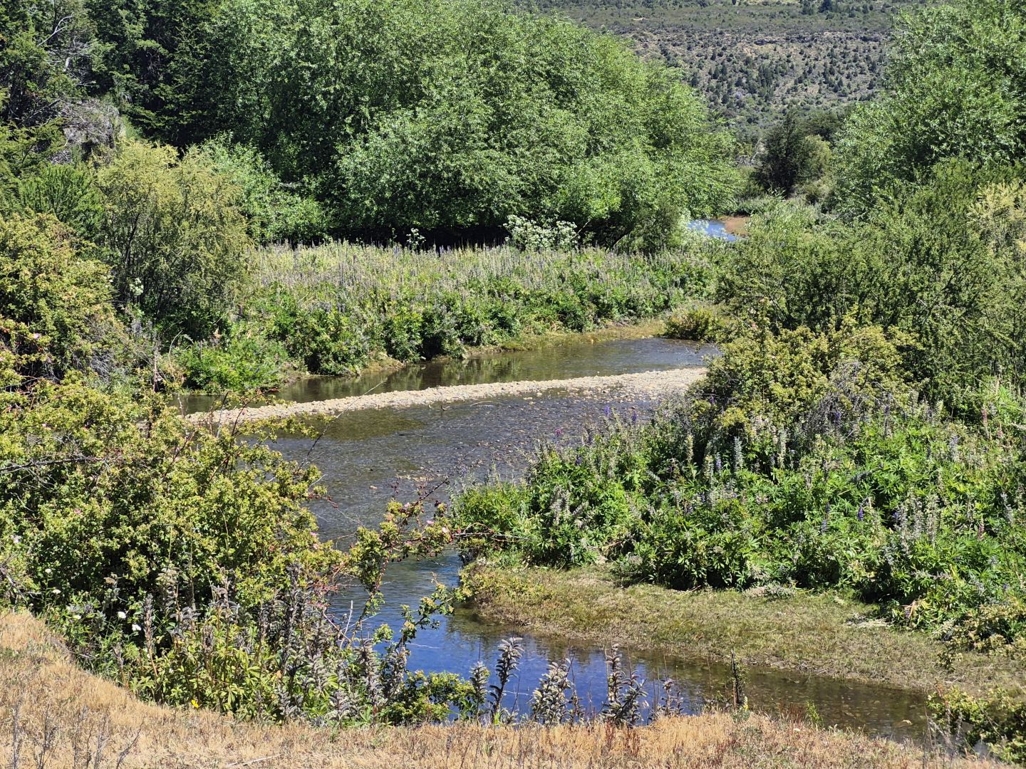 Campo EN VENTA