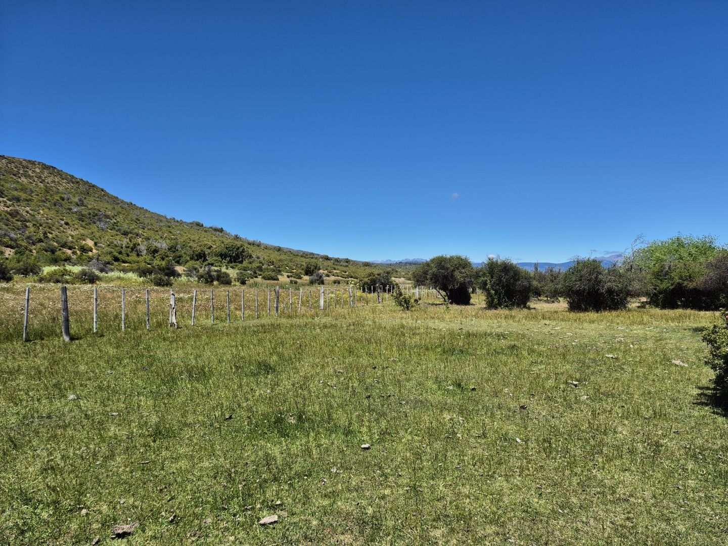 VENTA DE CAMPO EN Cholila - 25
