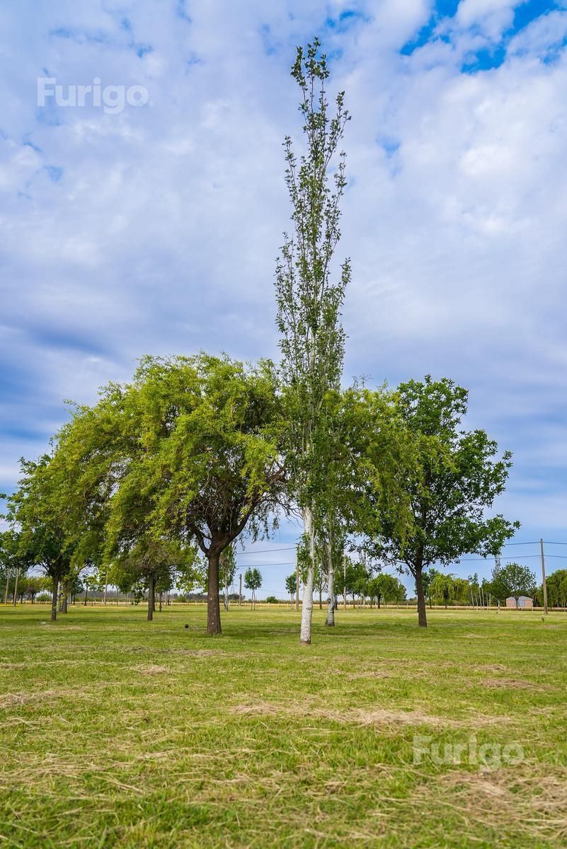 Casa en Venta en Rosario, Santa Fe
