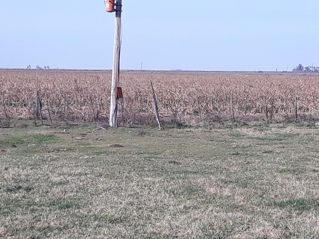 Campo EN VENTA