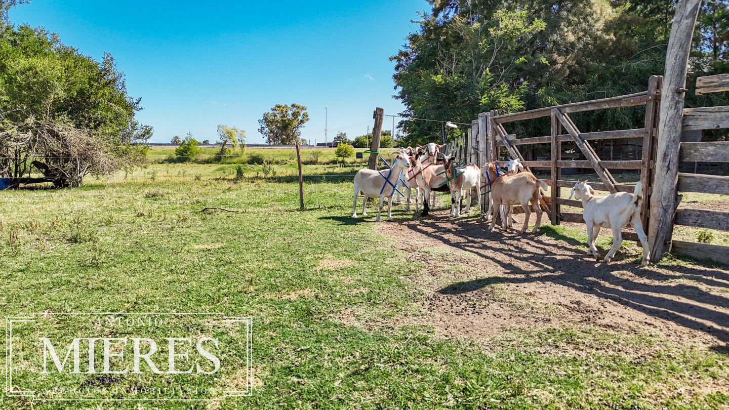 Quinta EN VENTA