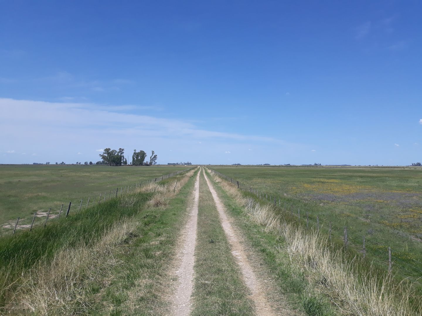Campo EN VENTA