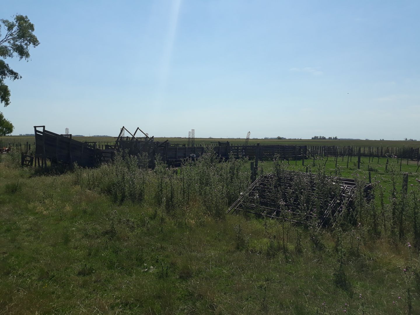 Campo EN VENTA