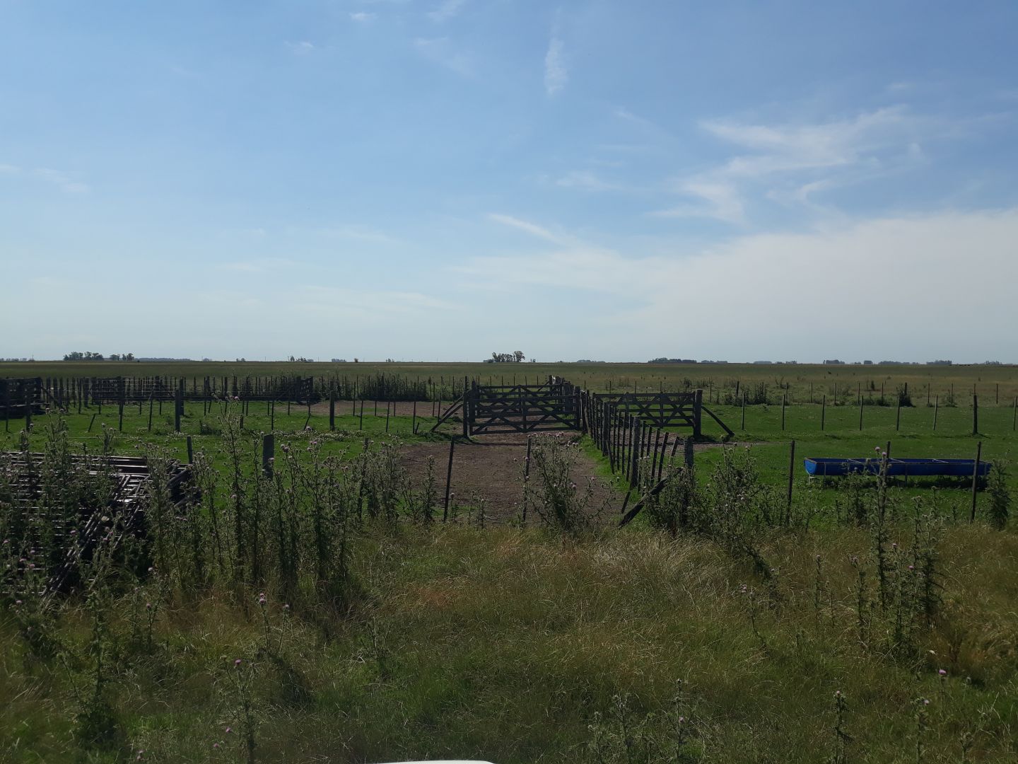 Campo EN VENTA