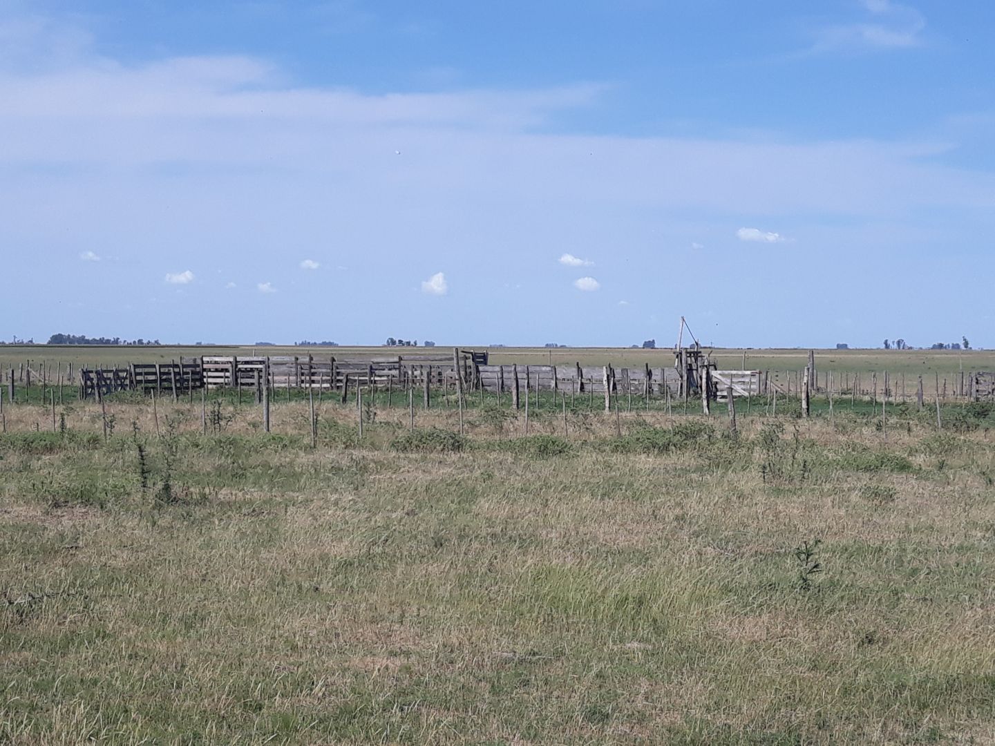 Campo EN VENTA