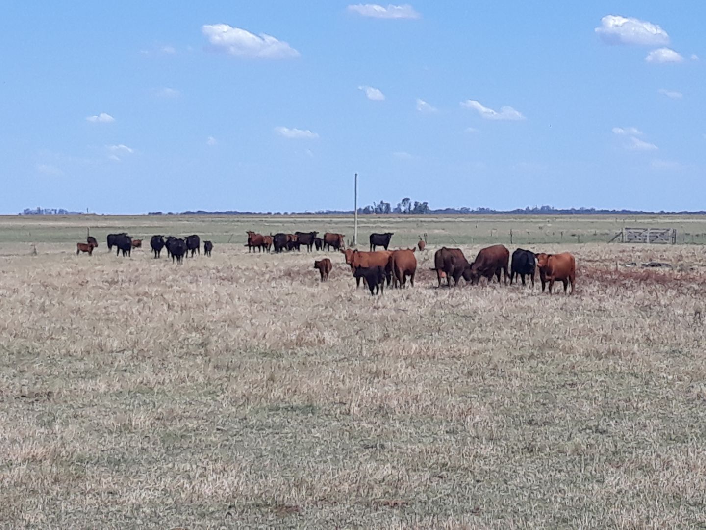 Campo EN VENTA