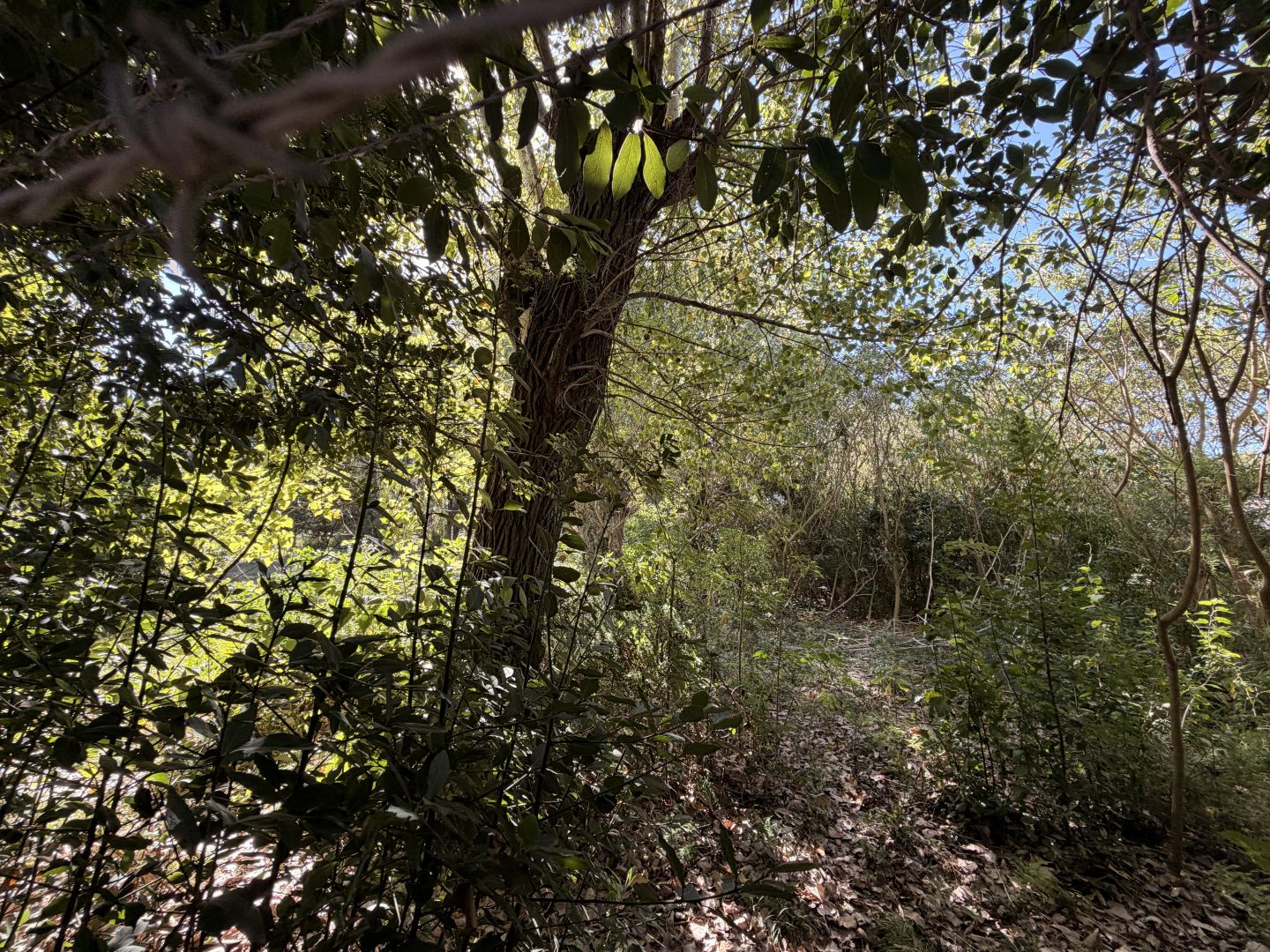 Lote EN VENTA