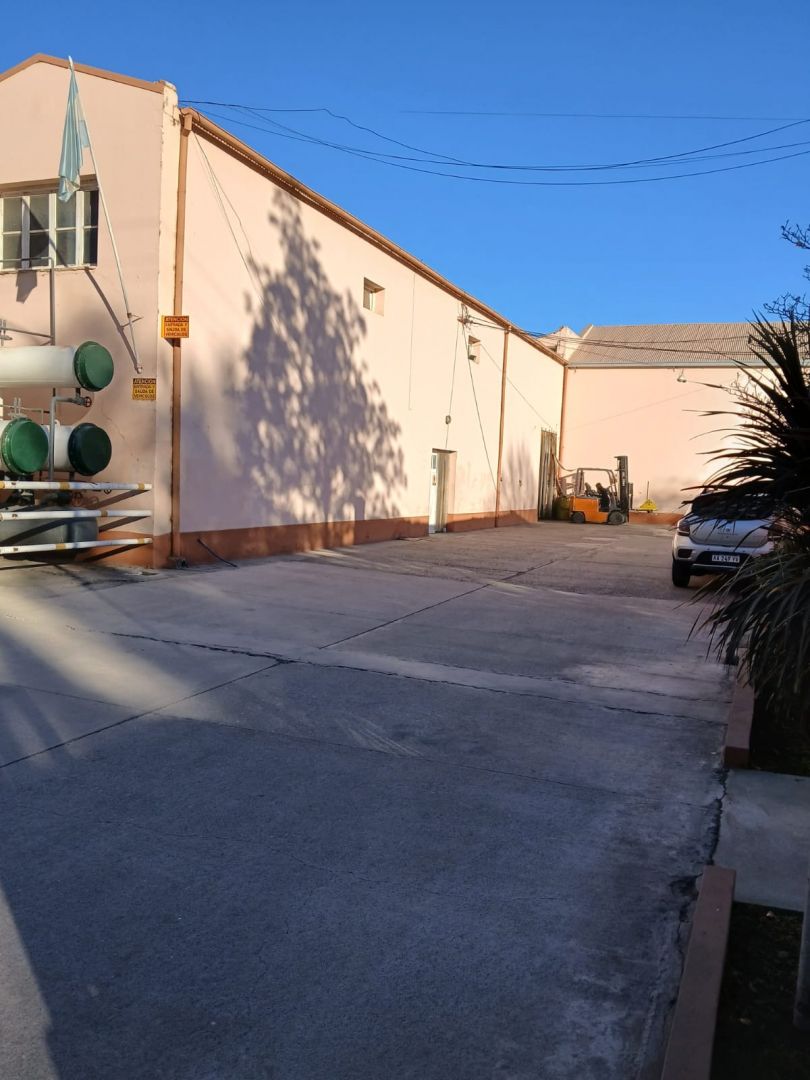 Imagen 5