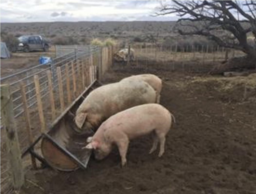 Campo EN VENTA