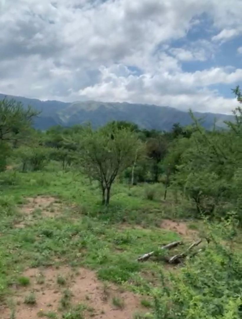 Lote EN VENTA