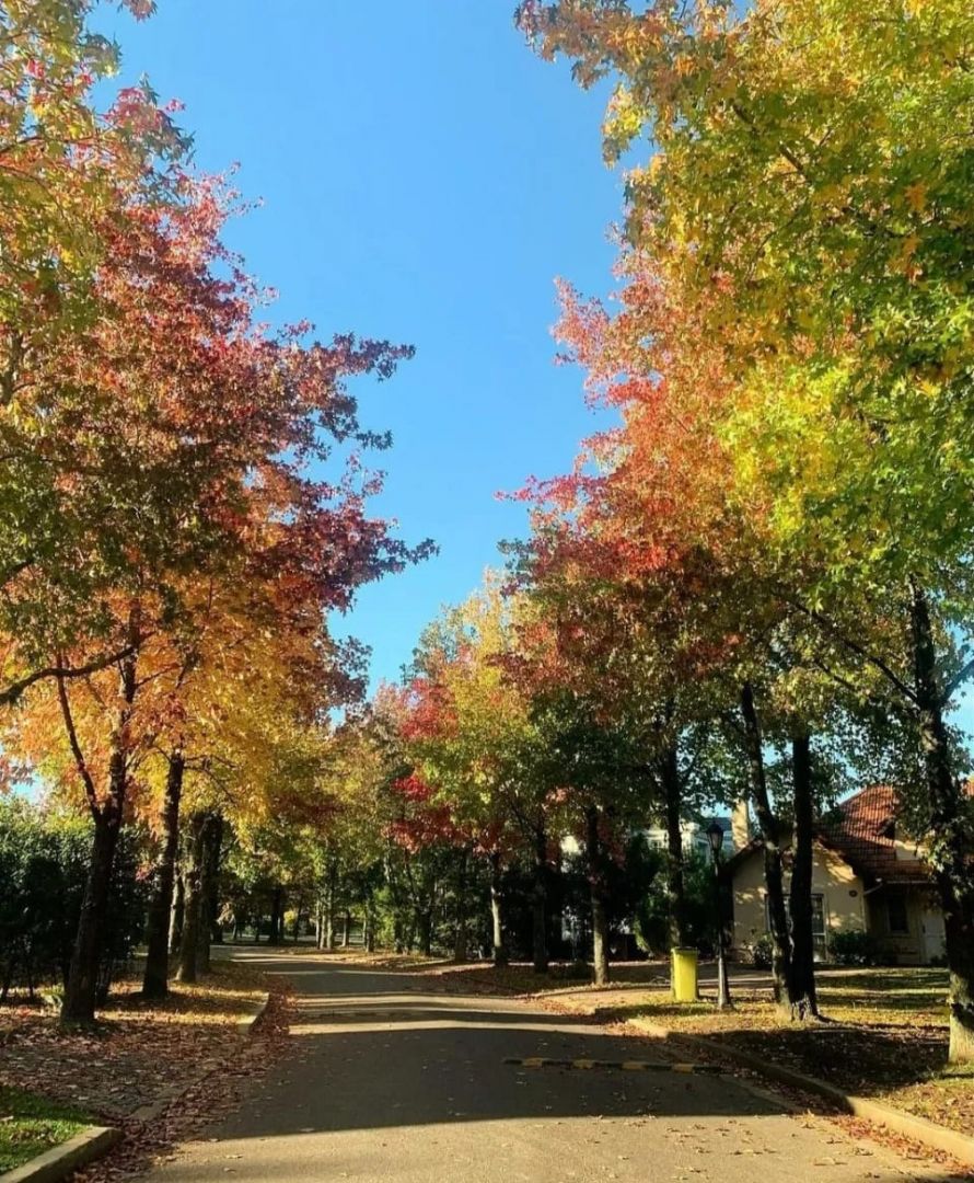 VENTA DE LOTE EN Ezeiza - 12