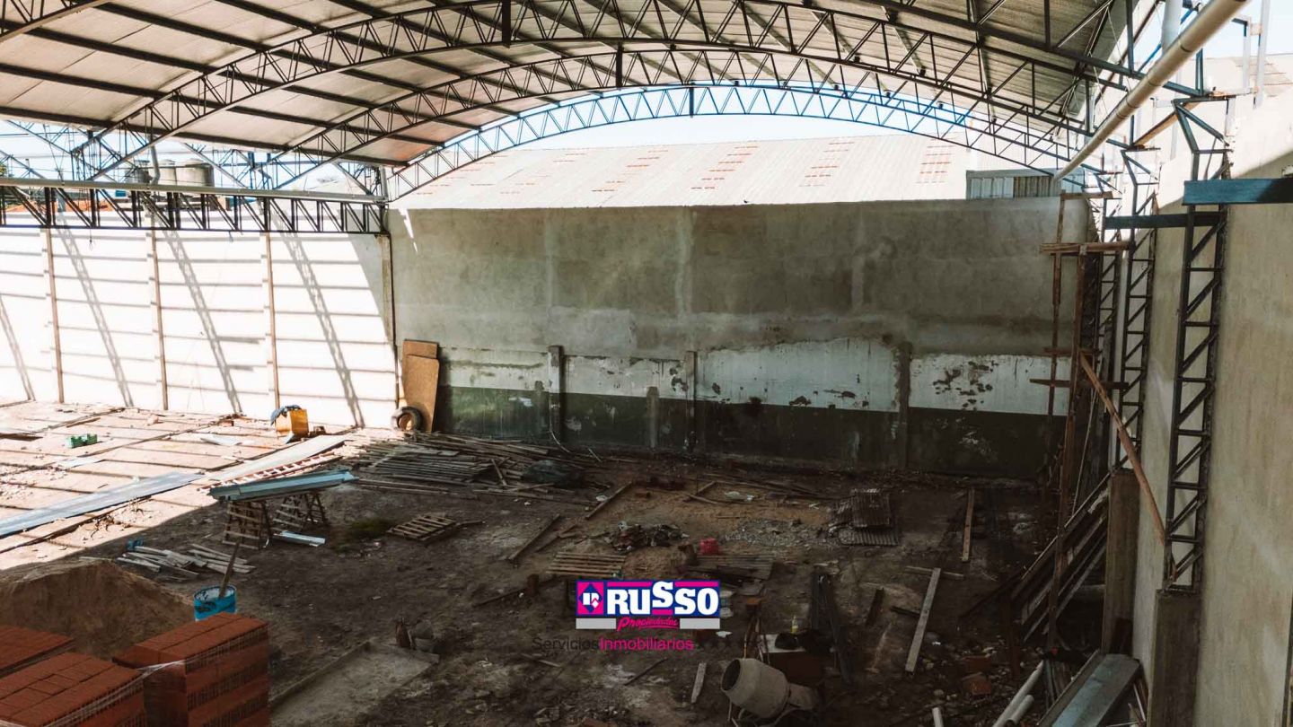 Imagen 11