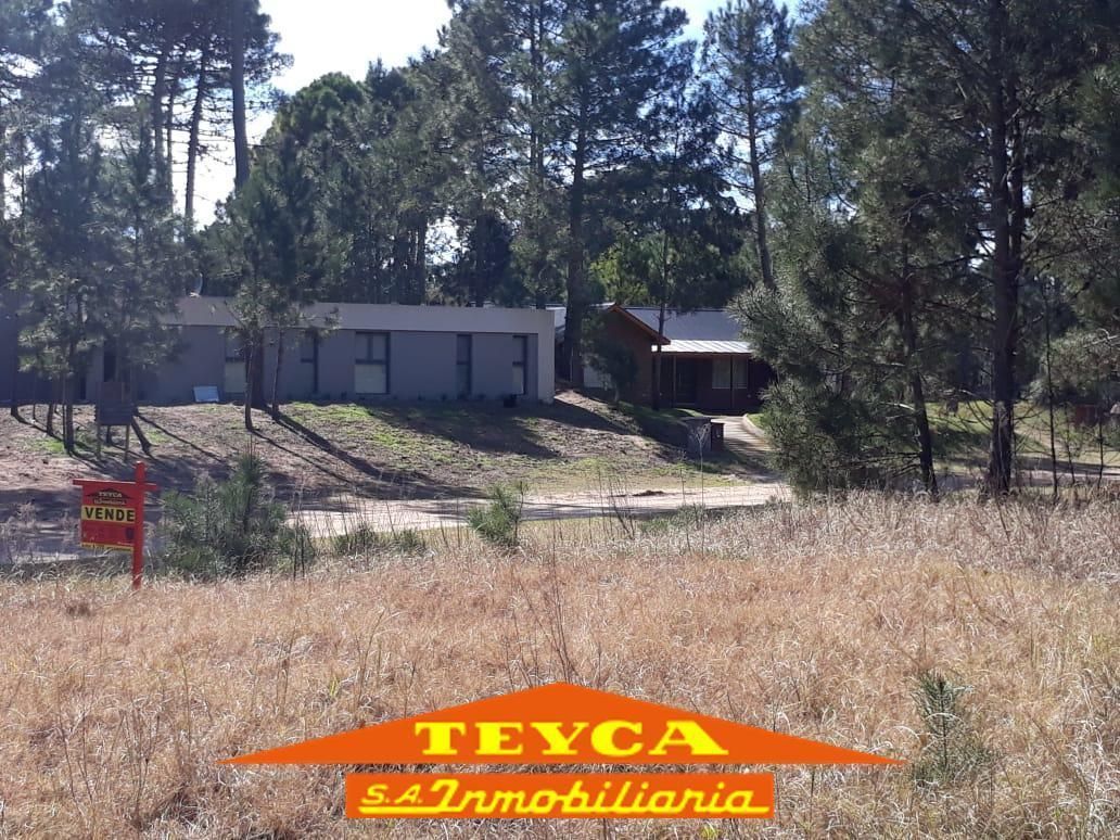 Lote en venta Alamos 0 ambientes