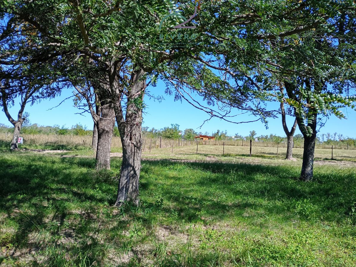 Lote EN VENTA