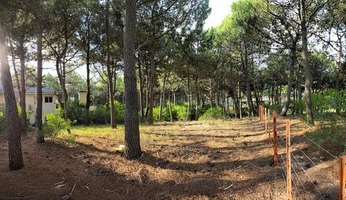 Lote en Venta en Pinamar, Buenos Aires Costa Atlantica