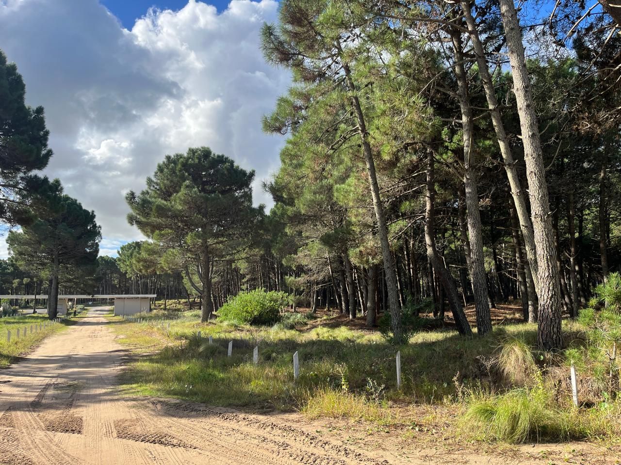 Lote EN VENTA