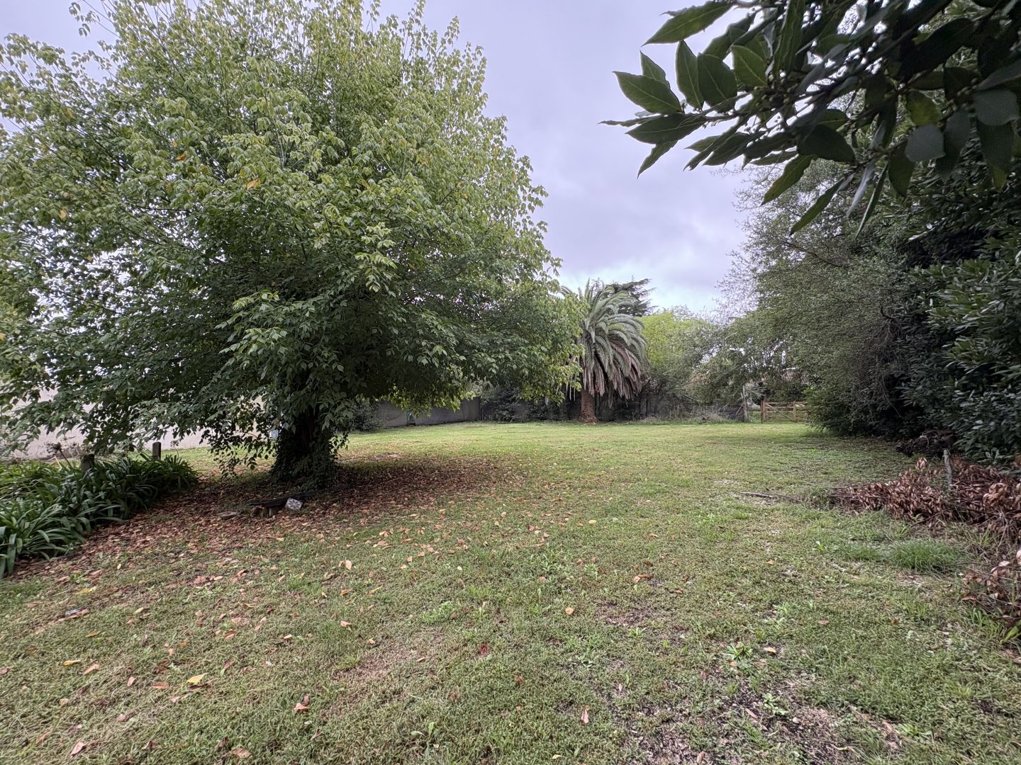 Lote EN VENTA