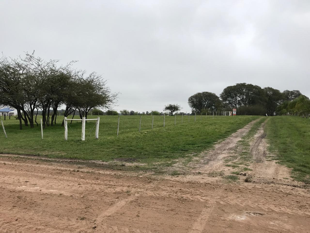 Lote EN VENTA