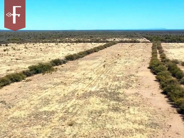 Campo EN VENTA