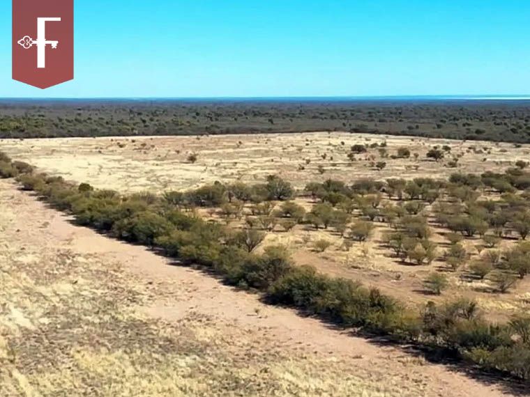 Campo EN VENTA