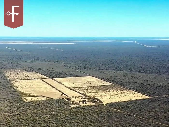 Campo EN VENTA