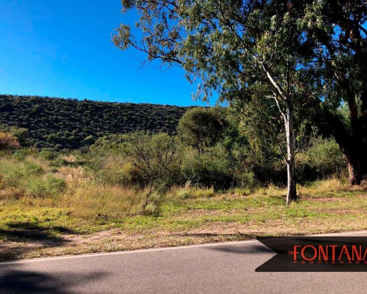 VENTA DE LOTE EN Nogolí - 3