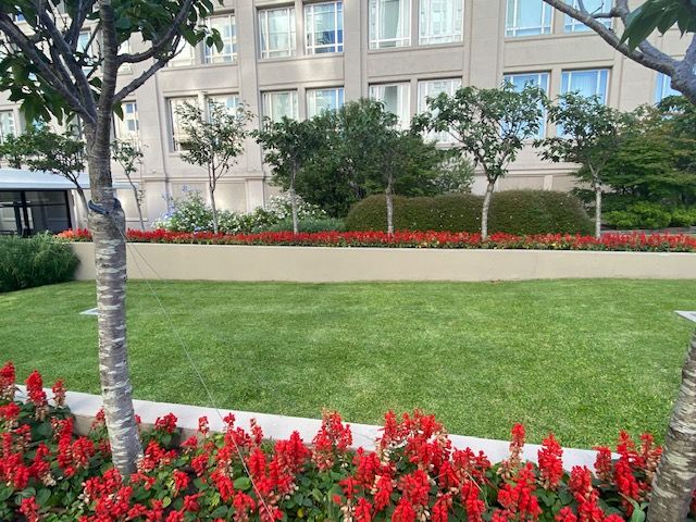 Departamento en Alquiler en Puerto Madero, Capital Federal