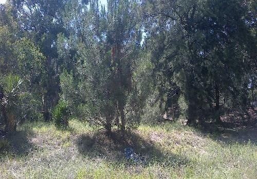 Lote EN VENTA