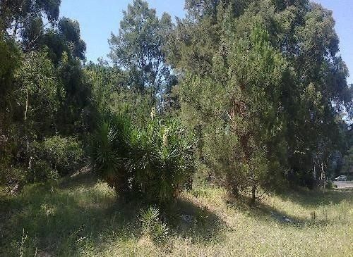 Lote EN VENTA