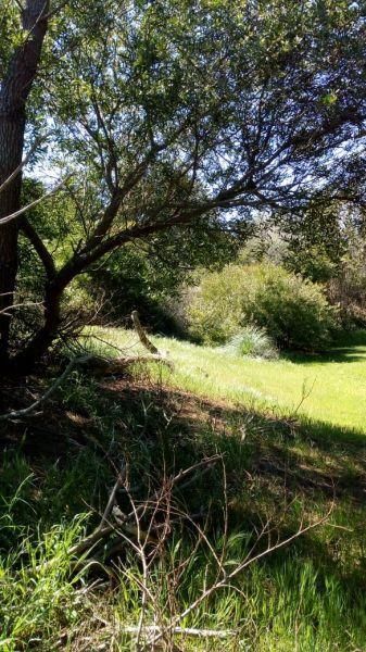 Lote EN VENTA