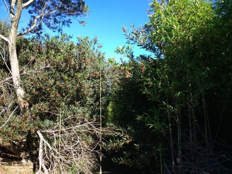 Lote EN VENTA