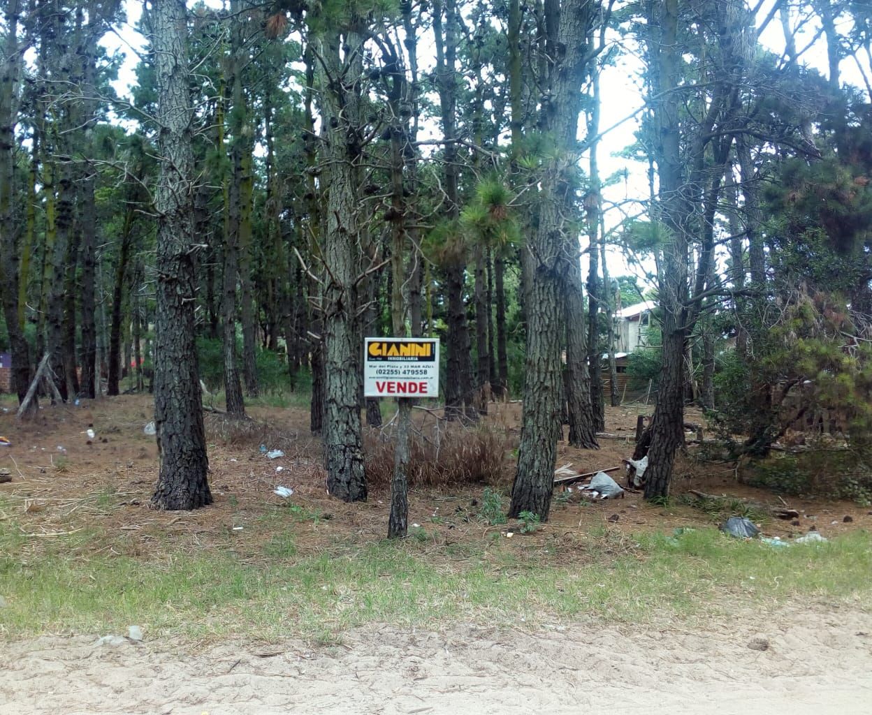 Lote EN VENTA