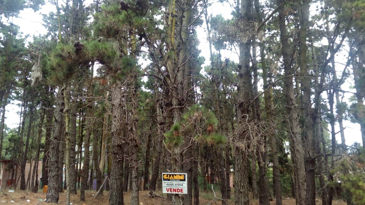 Lote EN VENTA
