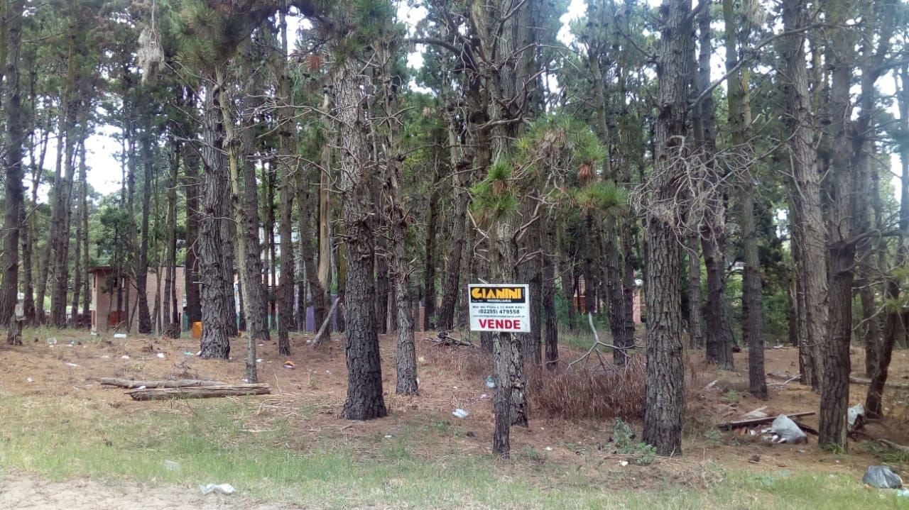 Lote EN VENTA
