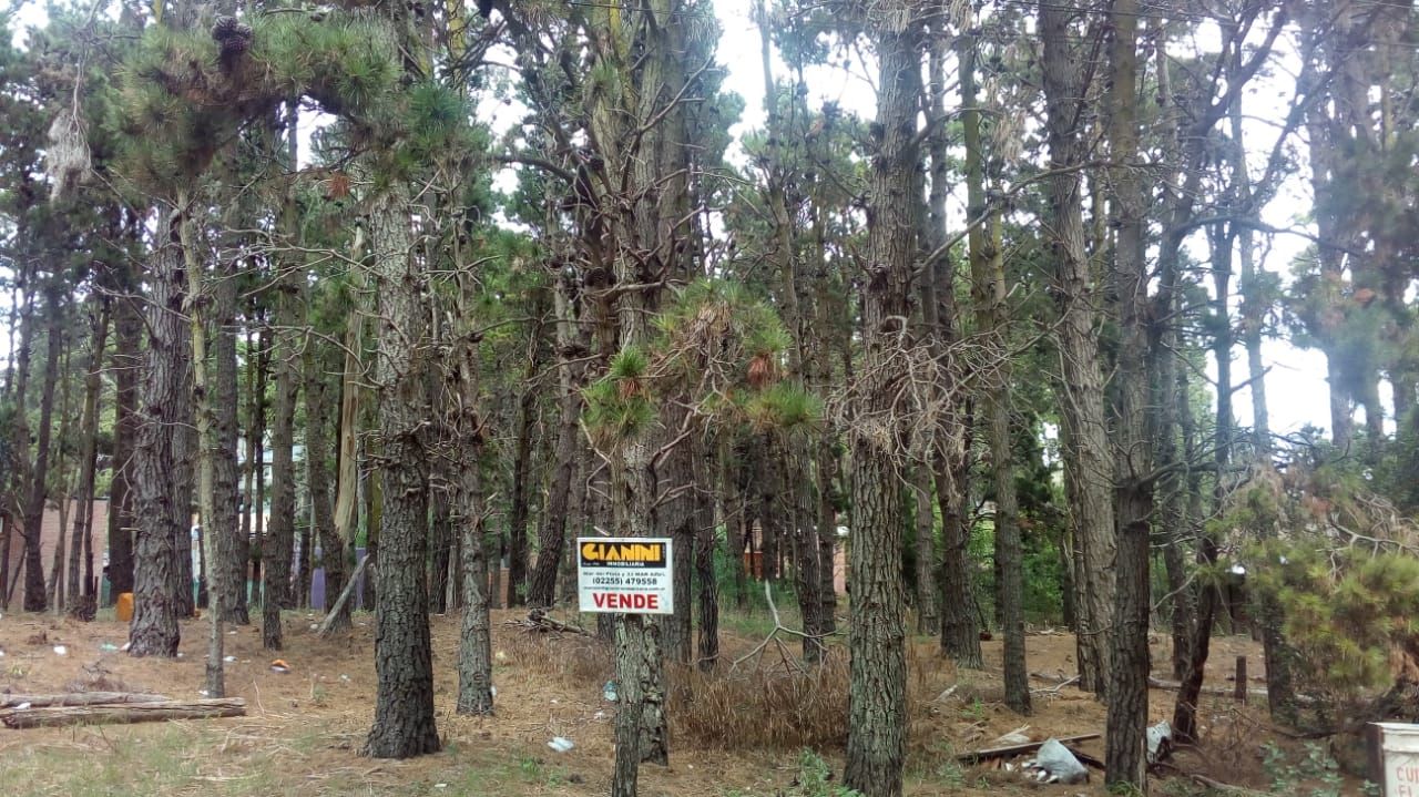 Lote EN VENTA
