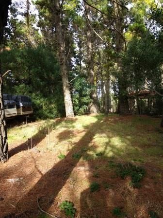 Lote EN VENTA
