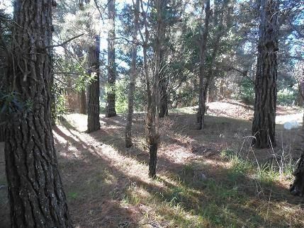 Lote EN VENTA