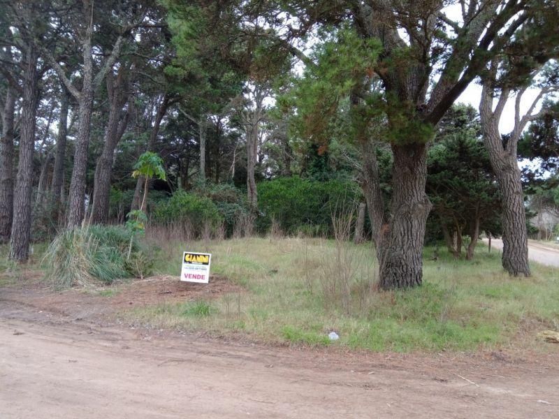 Lote EN VENTA