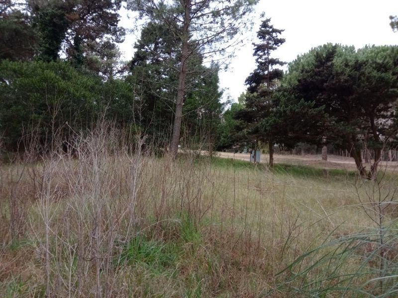 Lote EN VENTA