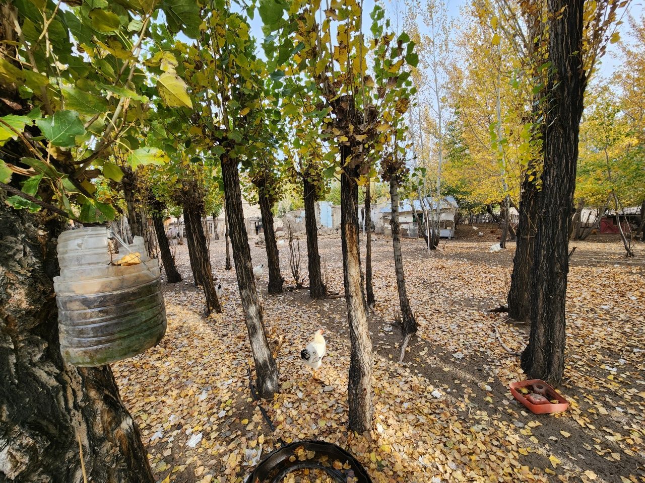 Campo EN VENTA