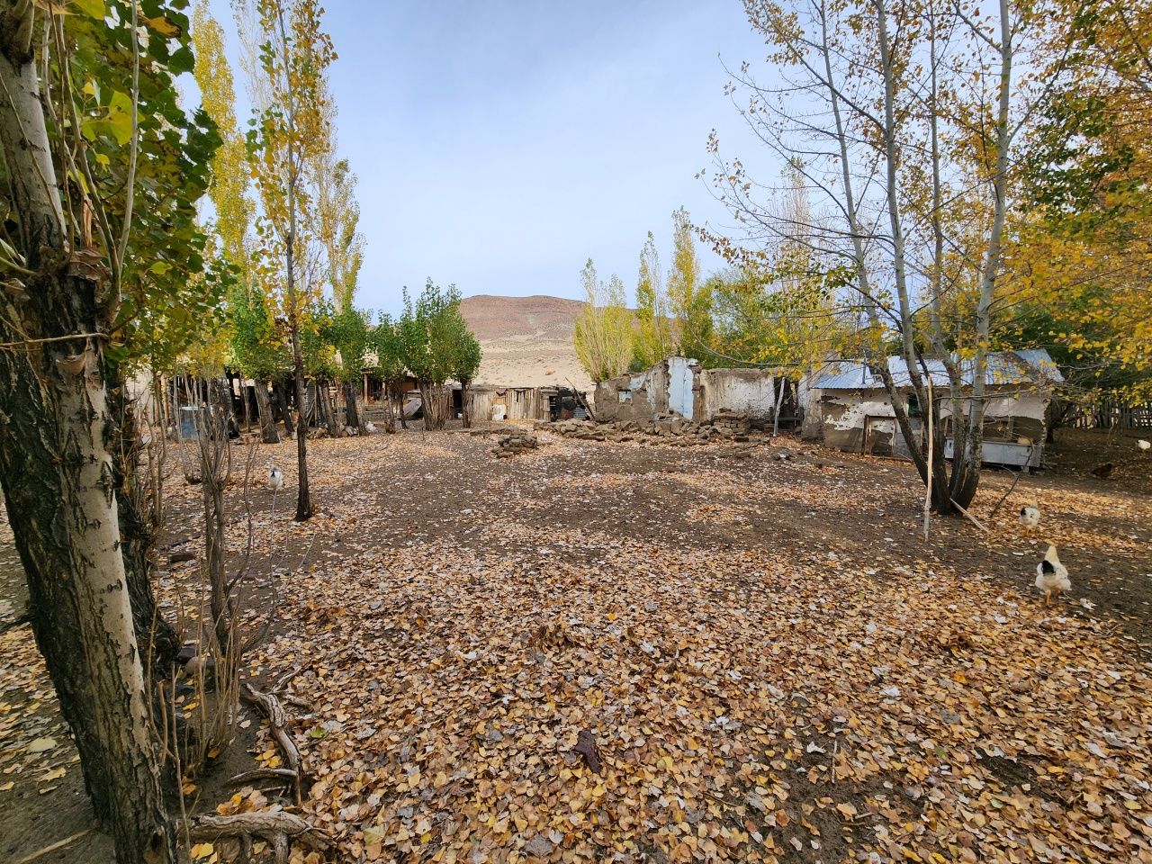 Campo EN VENTA