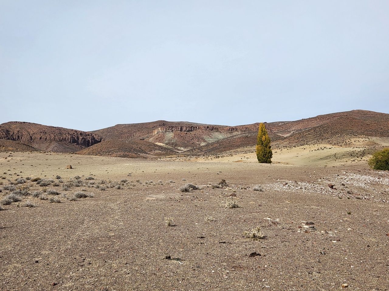 Campo EN VENTA