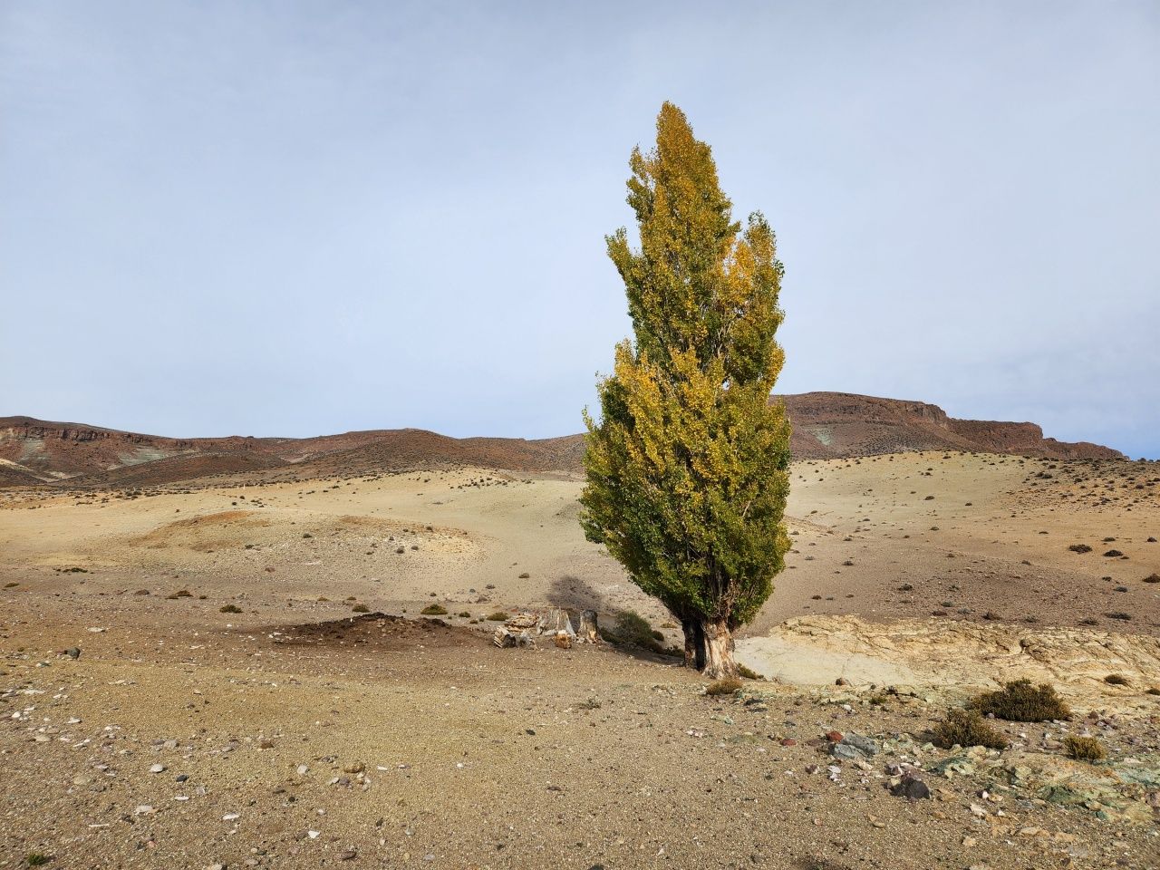 Campo EN VENTA