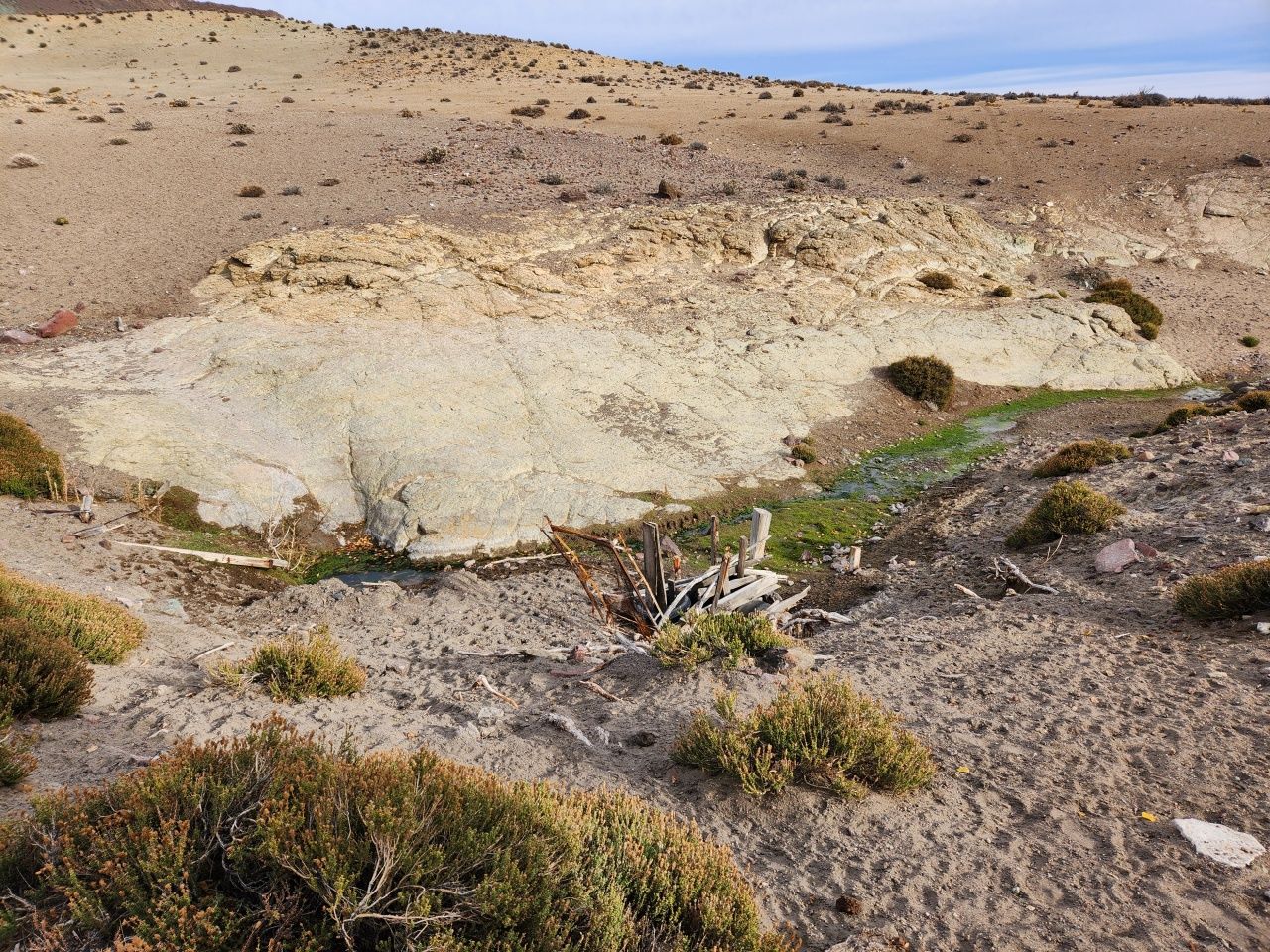 Campo EN VENTA