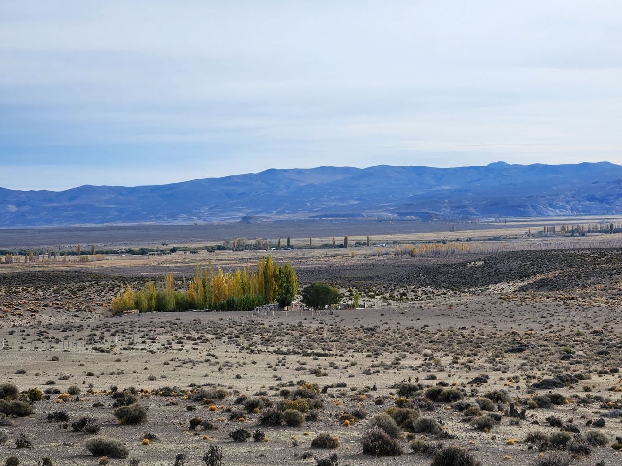 Campo EN VENTA