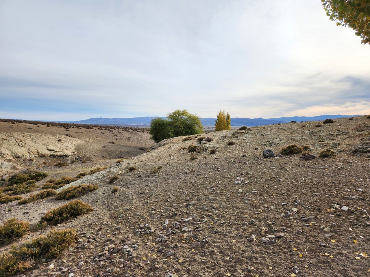 VENTA DE CAMPO EN Gualjaina - 19