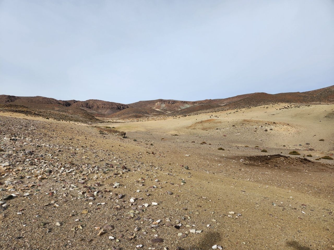 VENTA DE CAMPO EN Gualjaina - 20