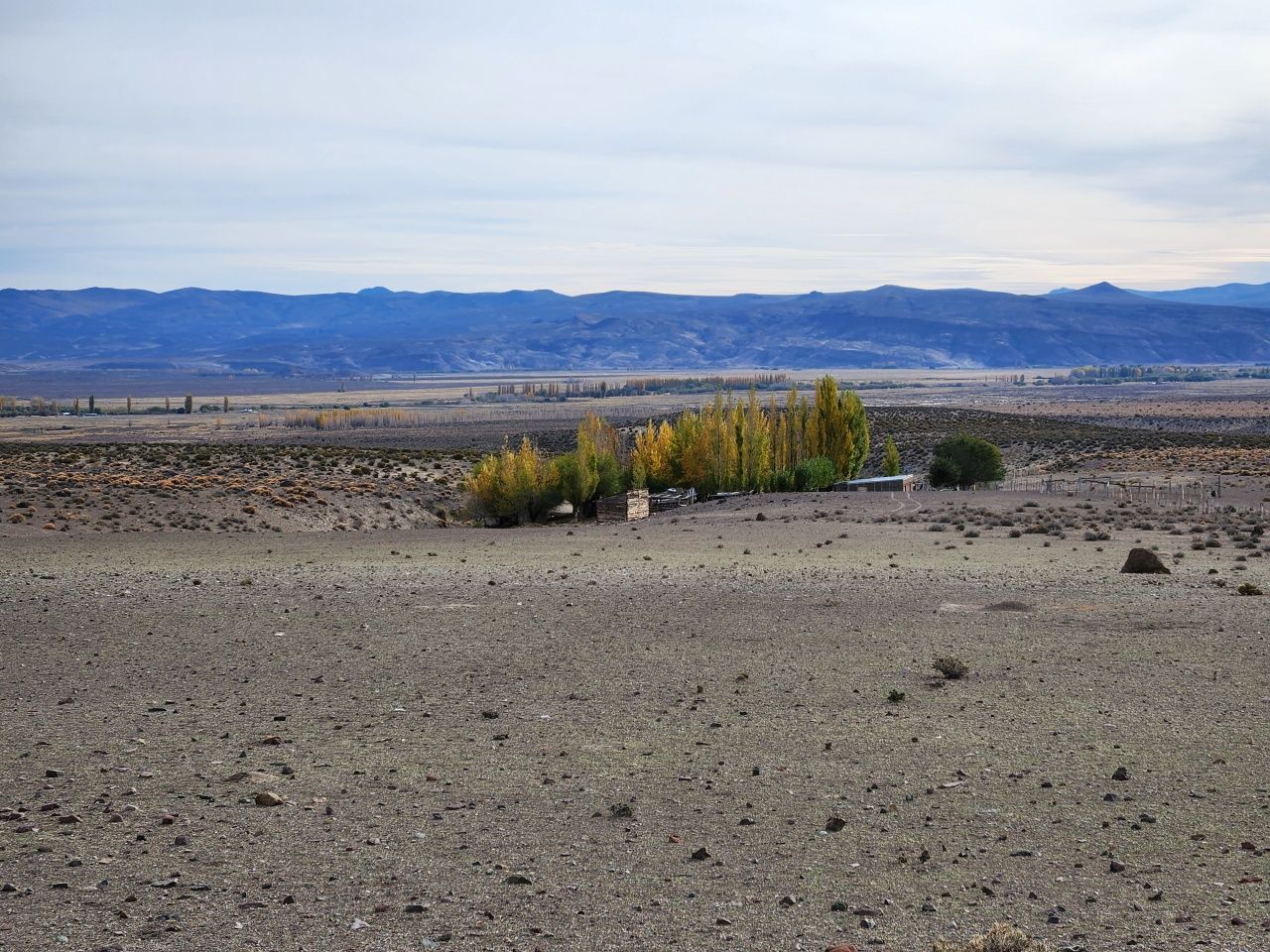 VENTA DE CAMPO EN Gualjaina - 28